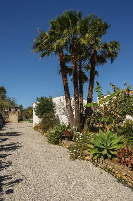 Can Beia Rural House Ibiza Nuestra Señora de Jesus Exterior foto
